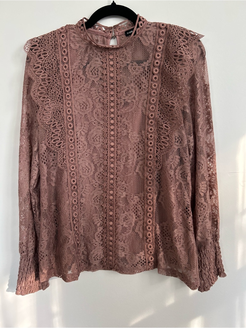 Cable & Gauge Dusty Rose Lace High Neck Long Sleeve Top